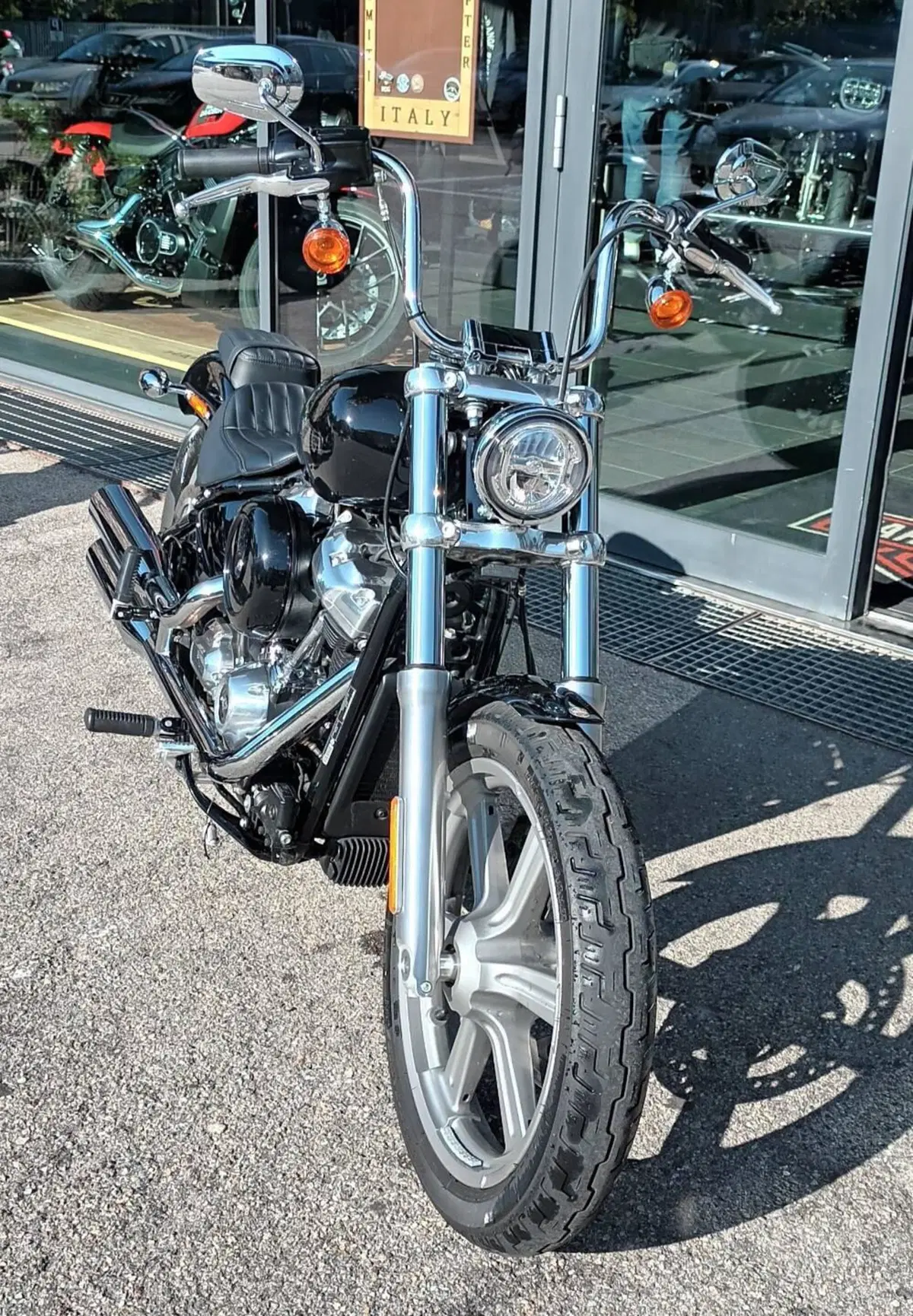 Harley-Davidson Softail Standard (2021 - 25) (4)