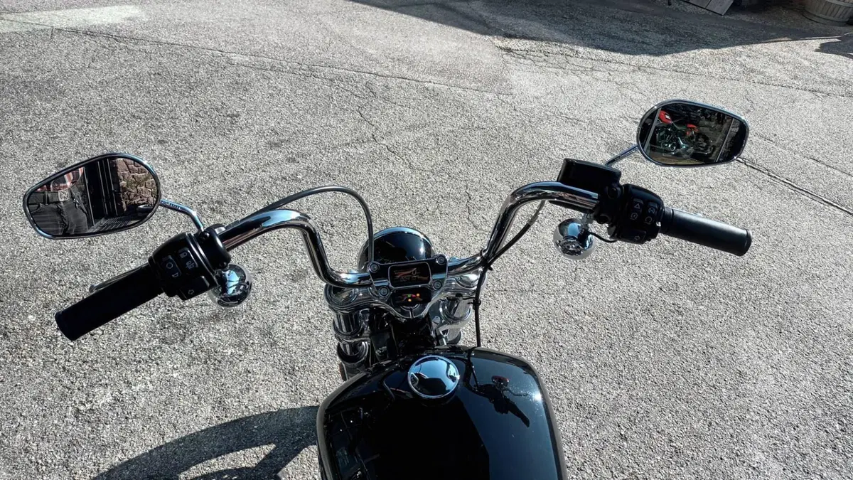 Harley-Davidson Softail Standard (2021 - 25) (5)
