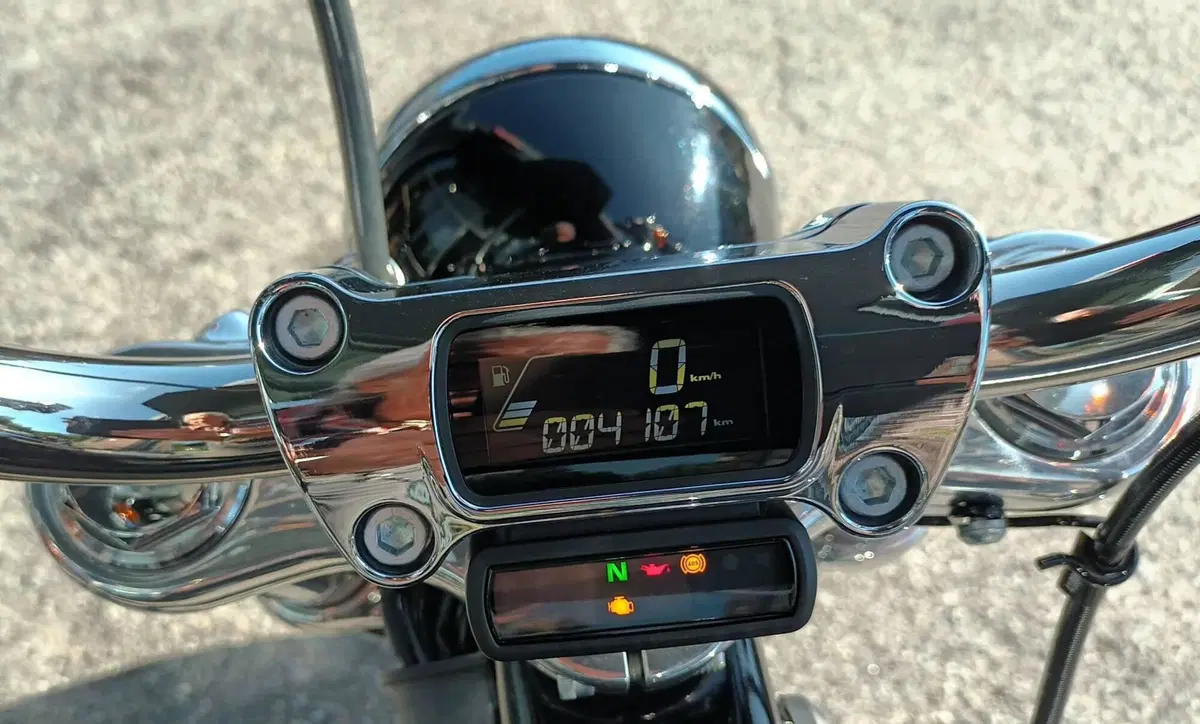 Harley-Davidson Softail Standard (2021 - 25) (6)