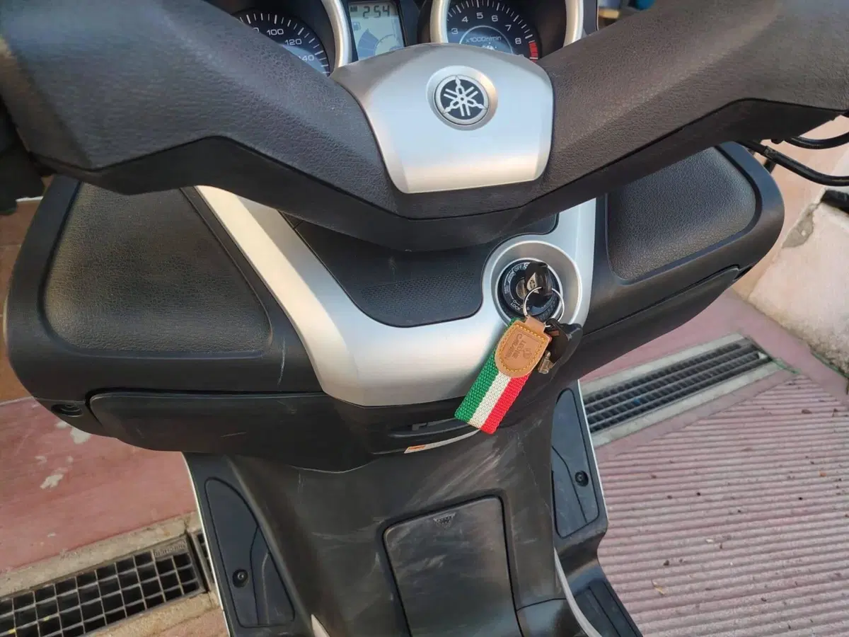 Yamaha X-Max 250 (2010 - 13) (14)