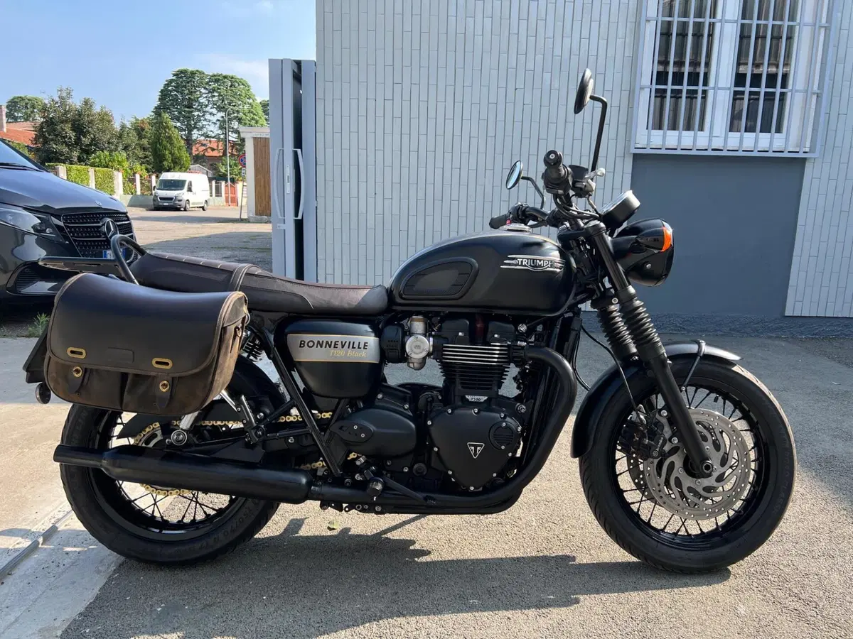 Triumph Bonneville T120 Gold Line Edition (2022 - 23) (2)