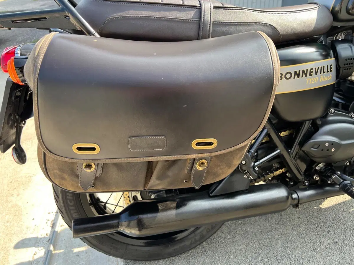 Triumph Bonneville T120 Gold Line Edition (2022 - 23) (12)