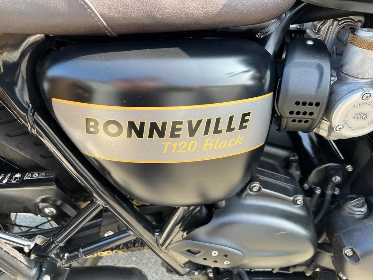 Triumph Bonneville T120 Gold Line Edition (2022 - 23) (6)