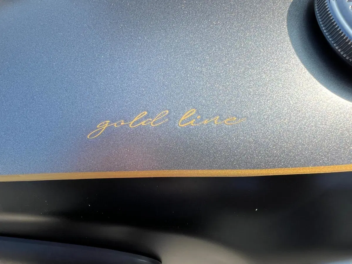 Triumph Bonneville T120 Gold Line Edition (2022 - 23) (7)