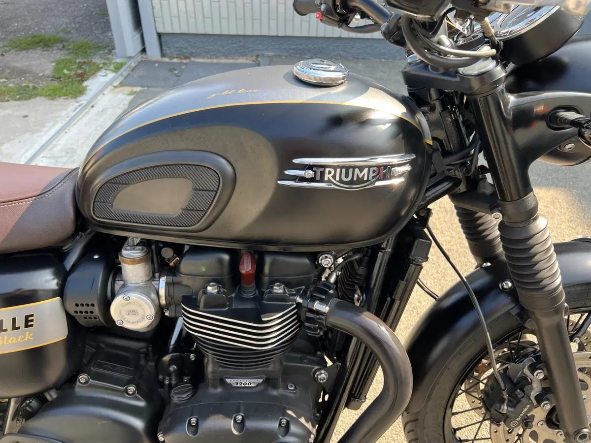 Triumph Bonneville T120 Gold Line Edition (2022 - 23) (9)