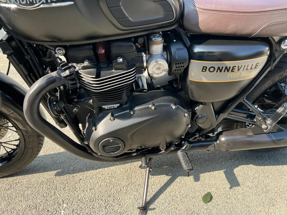 Triumph Bonneville T120 Gold Line Edition (2022 - 23) (15)
