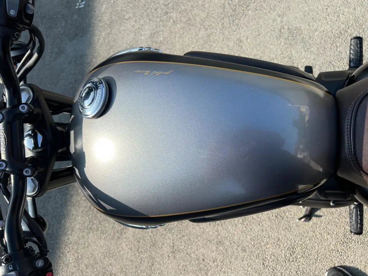 Triumph Bonneville T120 Gold Line Edition (2022 - 23) (10)