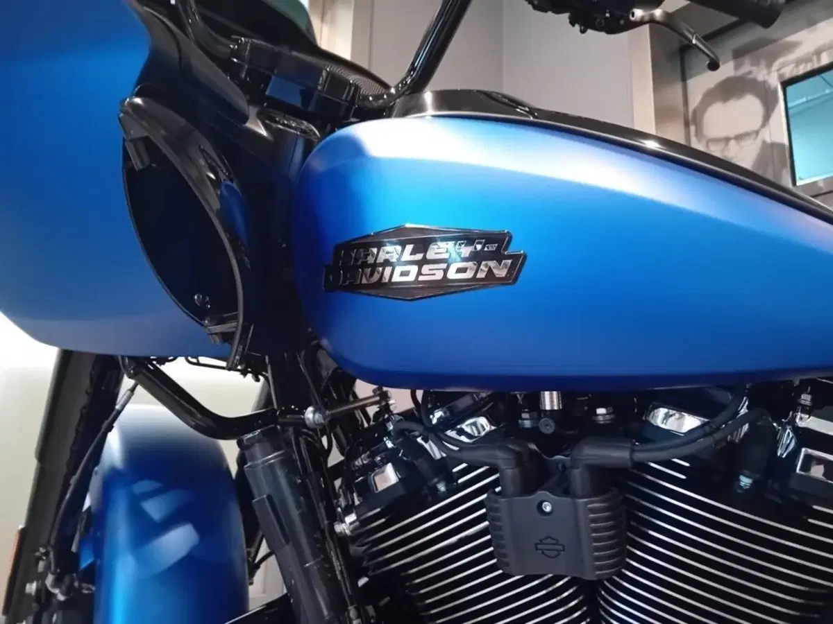 Harley-Davidson Road Glide (2024 - 26) (3)