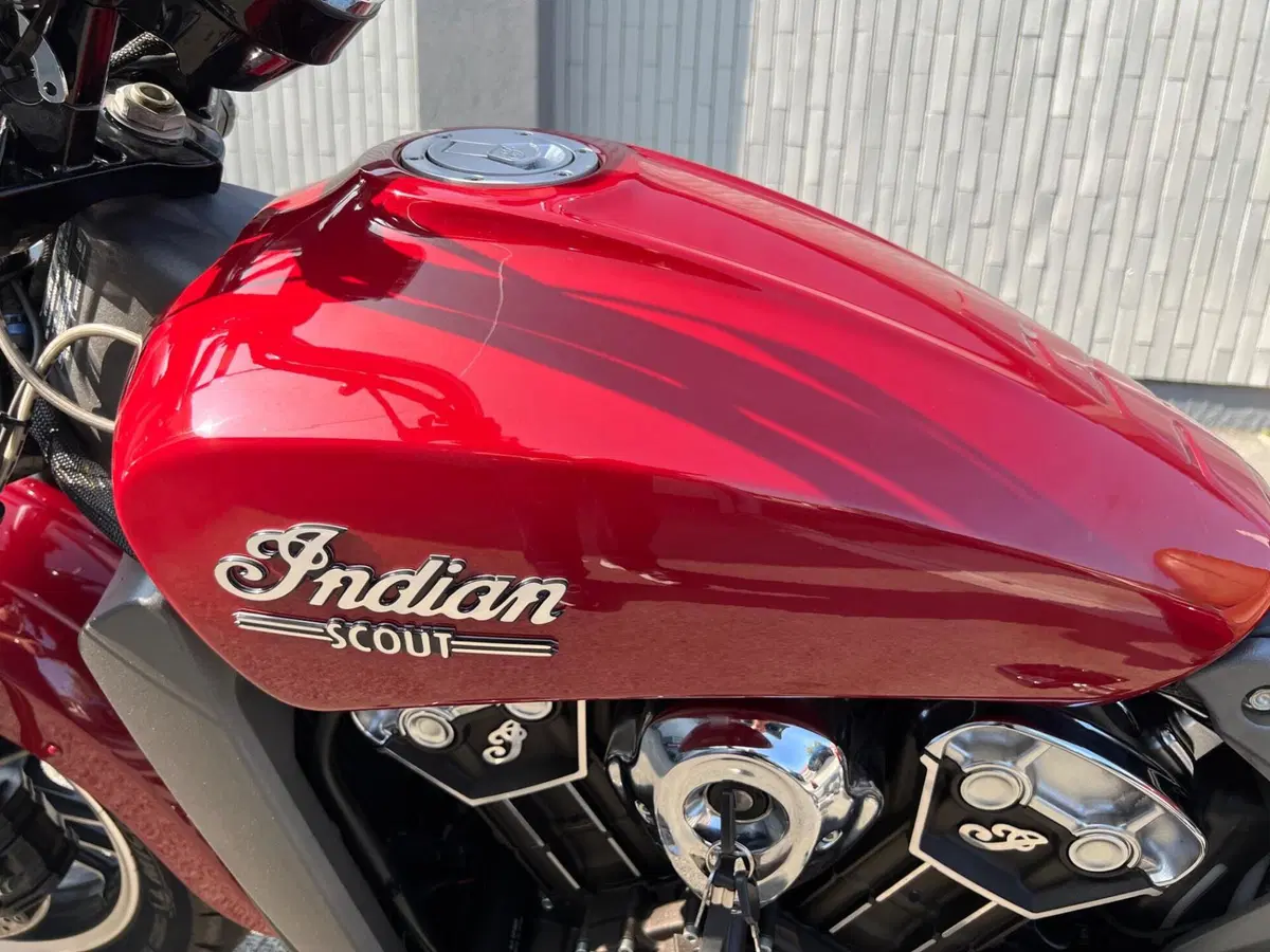 Indian Scout 1133 (2015 - 16) (6)