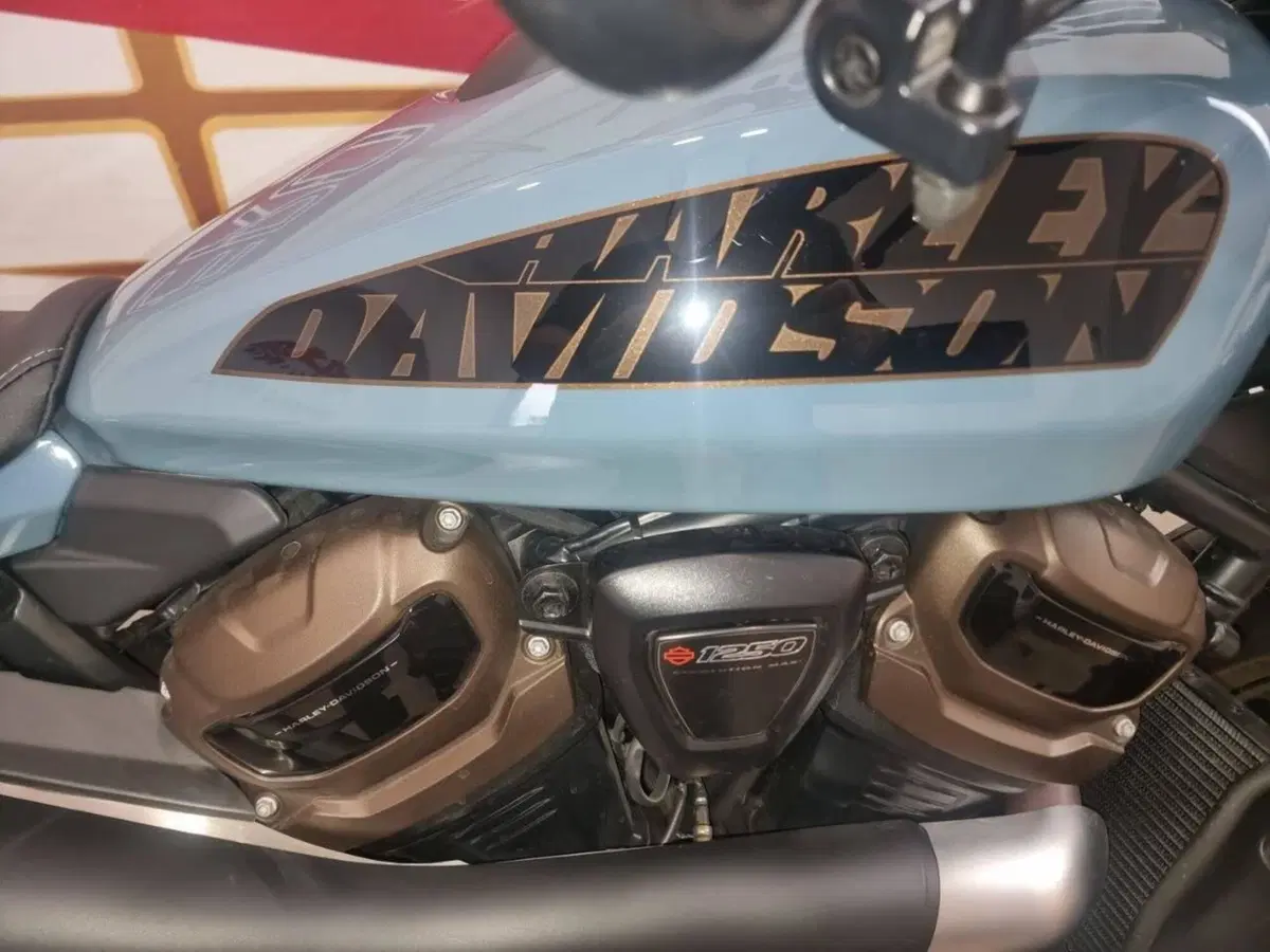 Harley-Davidson Sportster S (2025 - 26) (5)