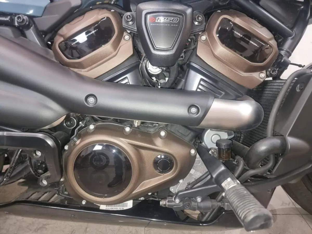 Harley-Davidson Sportster S (2025 - 26) (6)