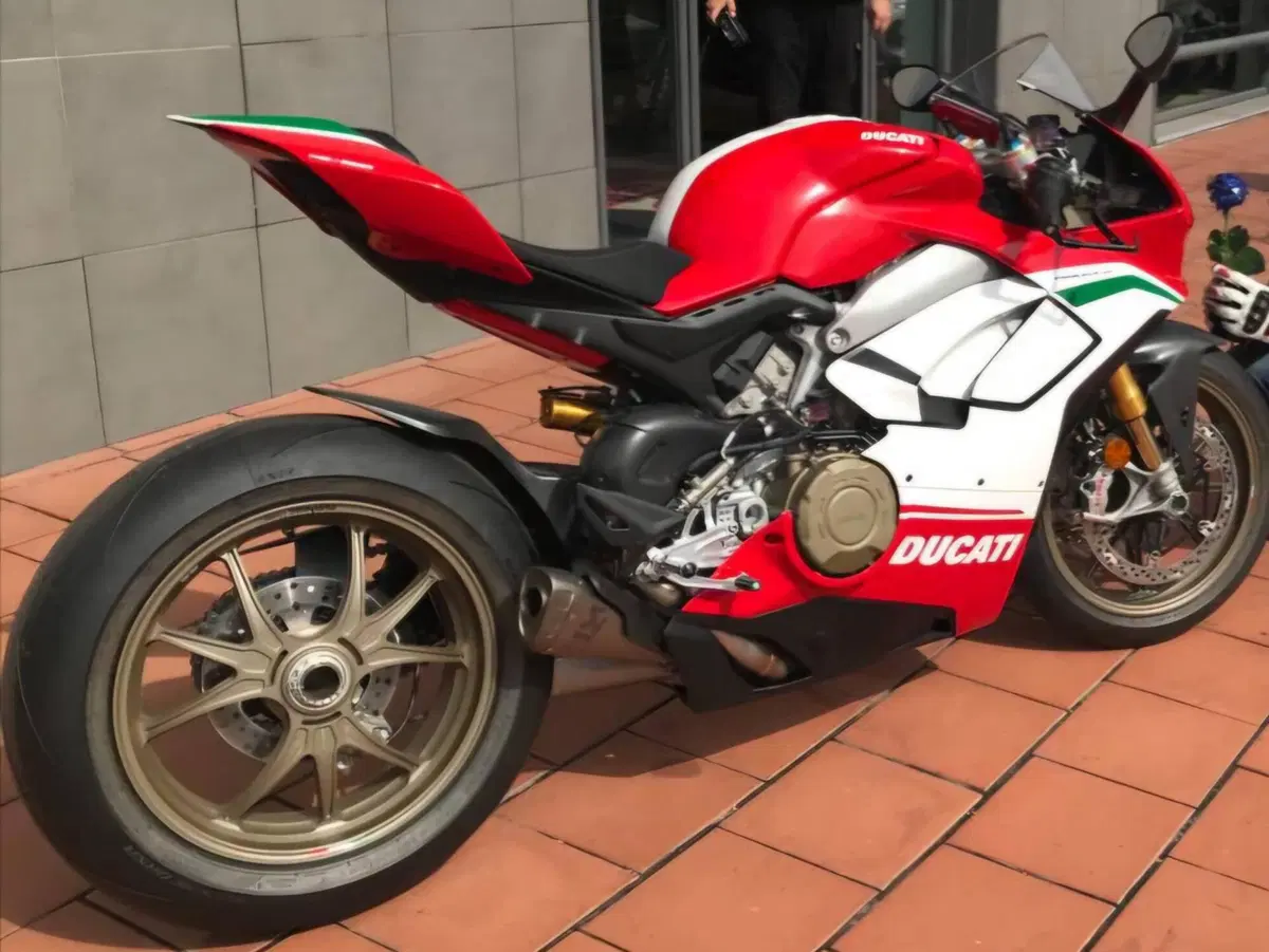 Ducati Panigale V4 Speciale 1100 (2018 - 19) (6)