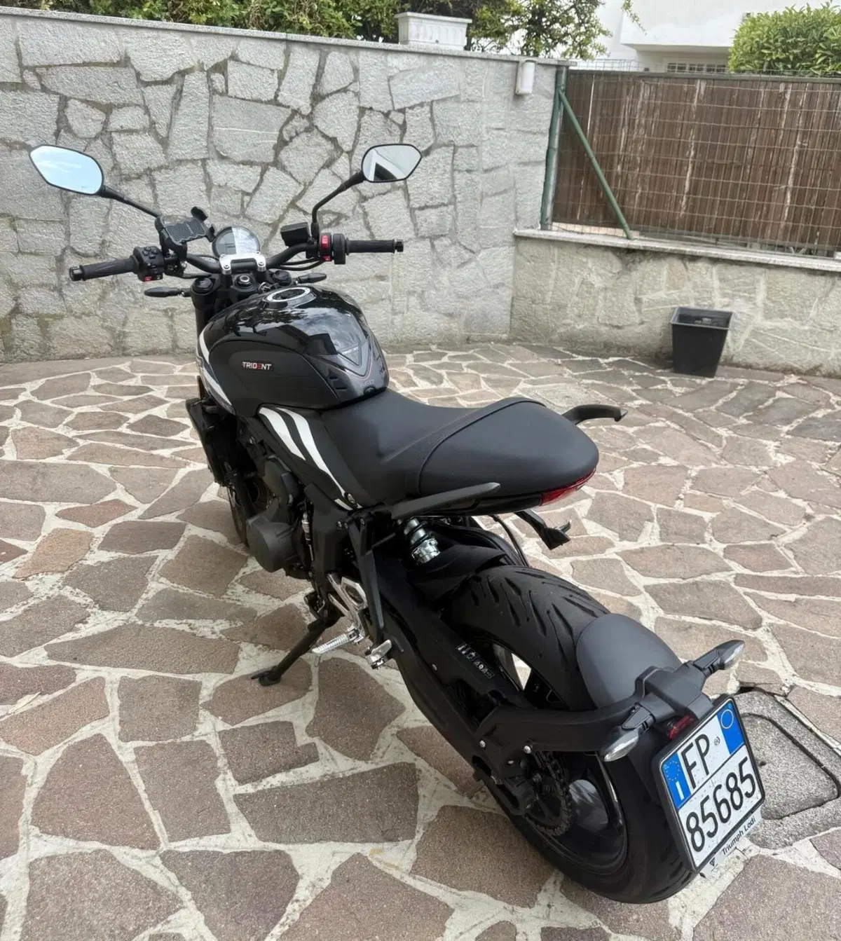 Triumph Trident 660 (2025) (3)