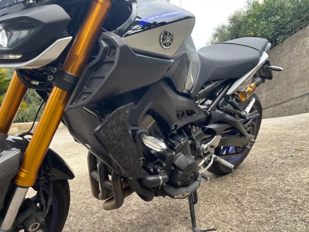 Yamaha MT-09 SP (2018 - 20) (3)