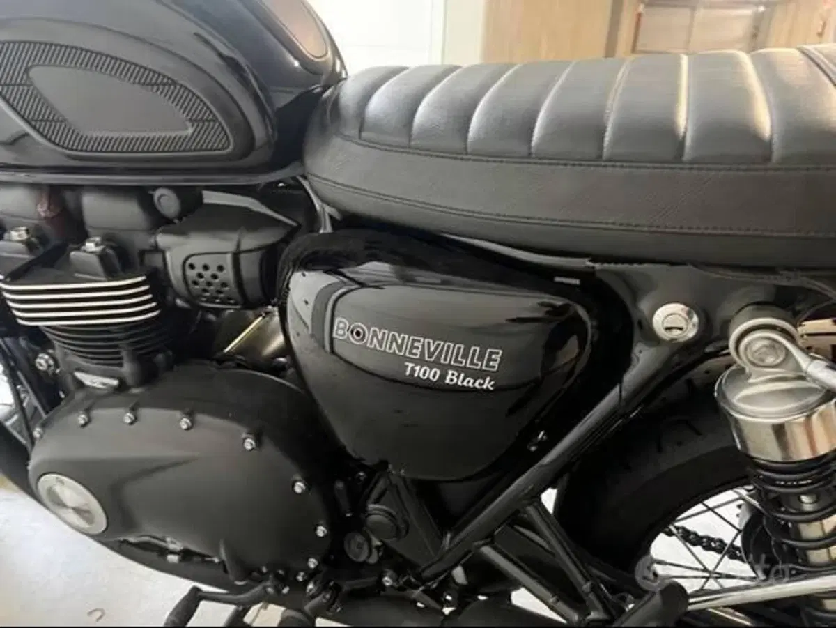 Triumph Bonneville T100 Black (2017 - 20) (5)