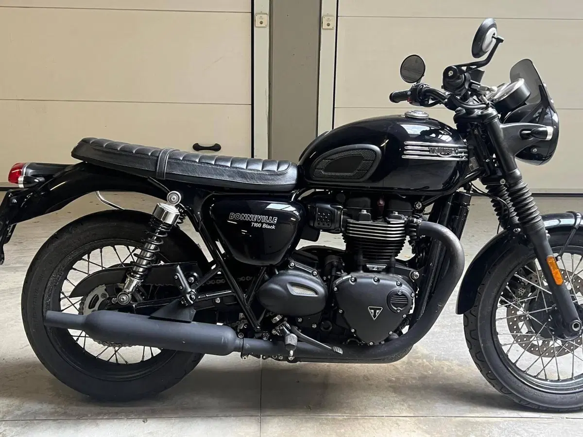 Triumph Bonneville T100 Black (2017 - 20) (9)