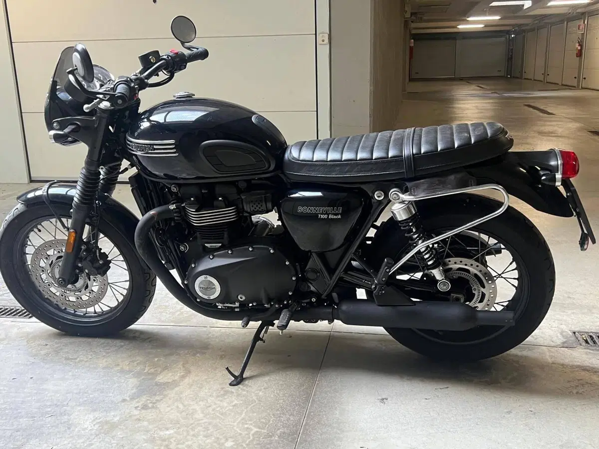 Triumph Bonneville T100 Black (2017 - 20) (13)