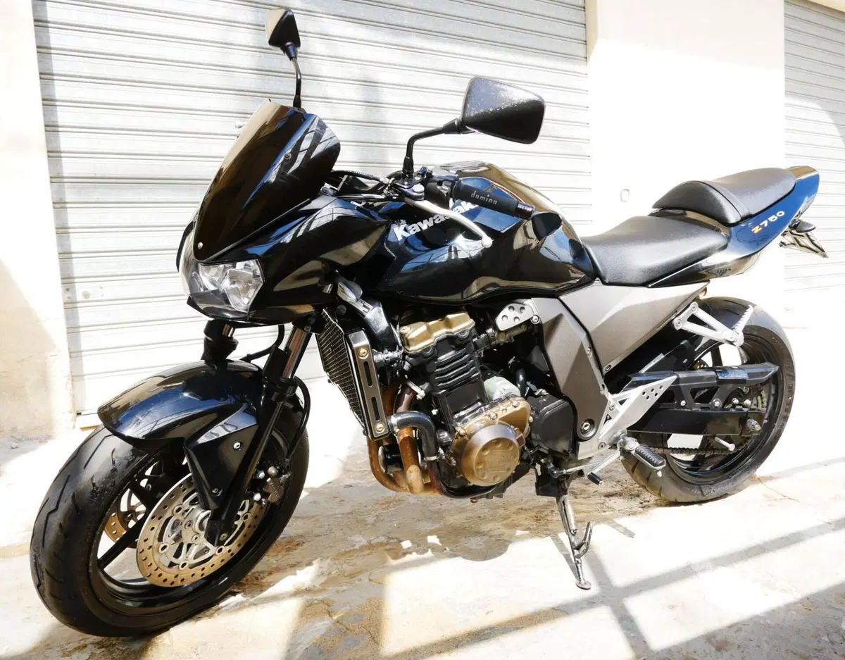 Kawasaki Z 750 (2003 - 06) (4)