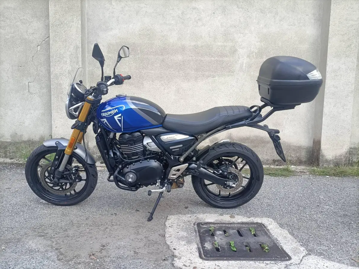 Triumph Speed 400 (2024 - 26) (3)