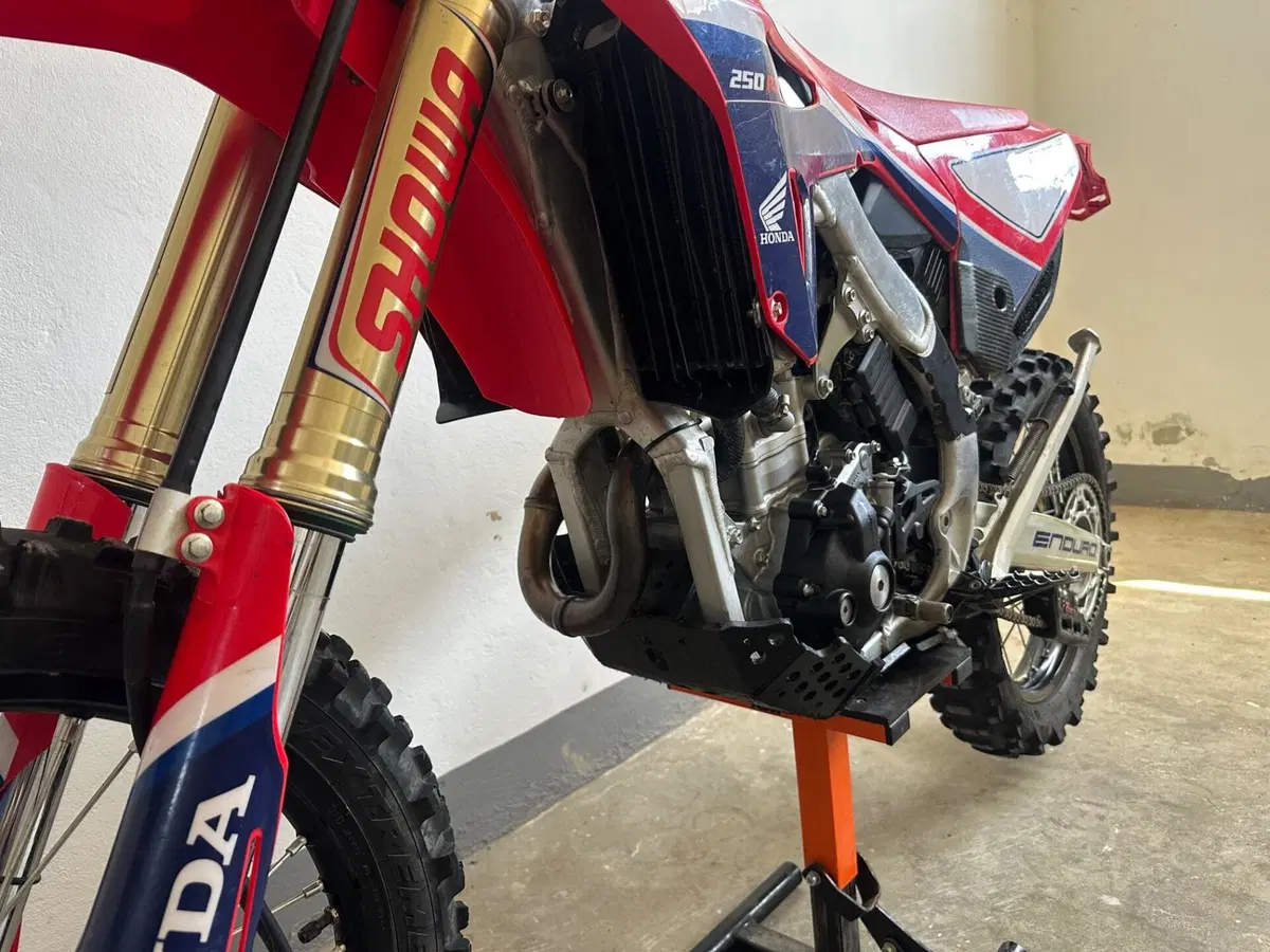 Honda CRF 250RX Enduro (2022) (9)
