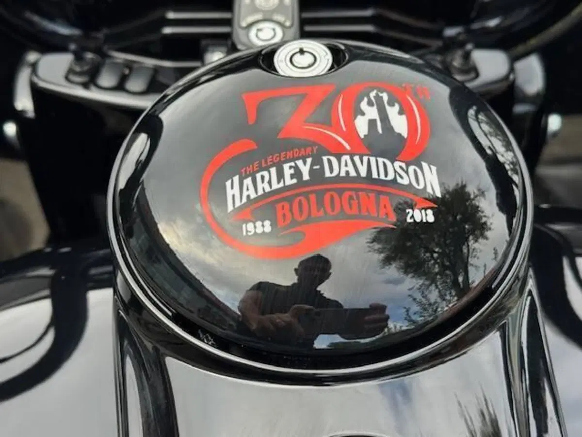 Harley-Davidson 107 Road Glide Special (2017 - 18) - FLTRXS (13)