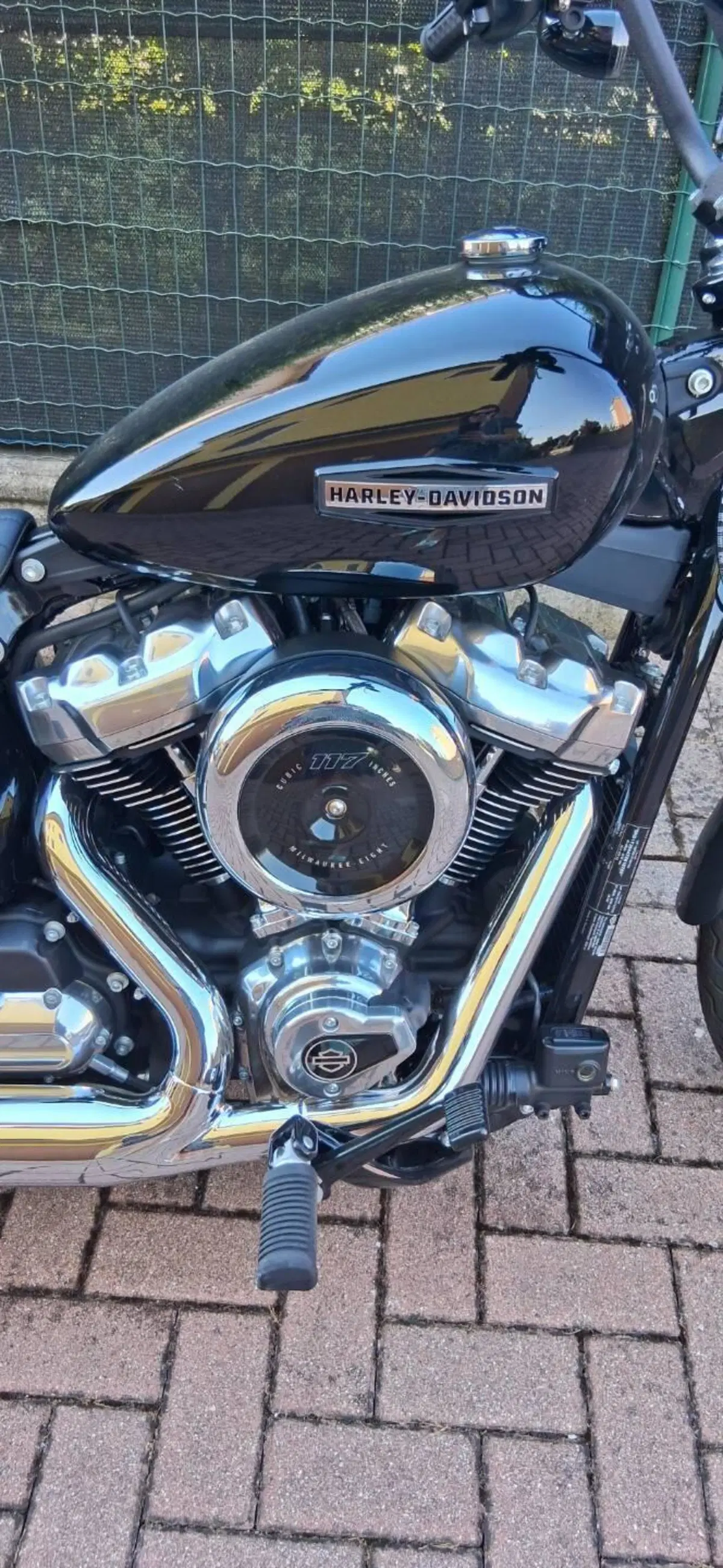 Harley-Davidson Street Bob 117 (2025 - 26) (2)