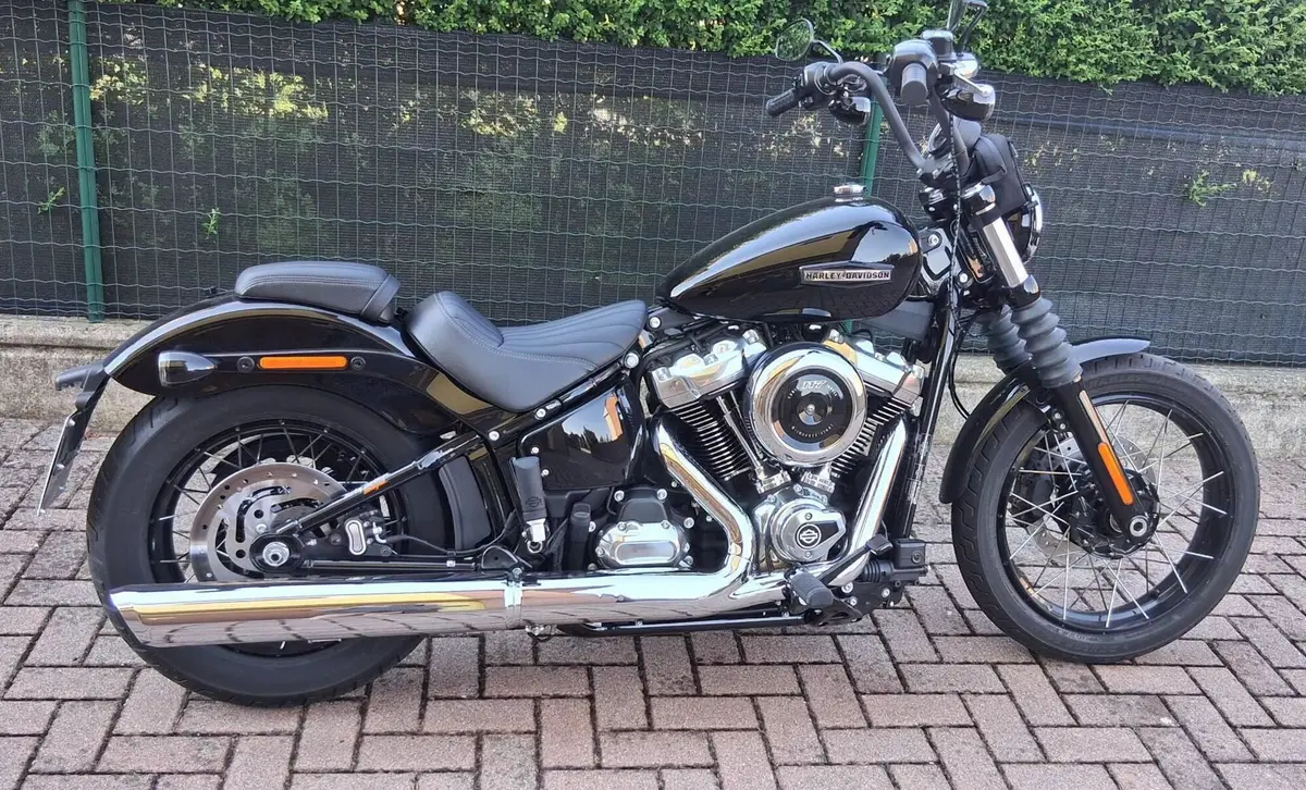 Harley-Davidson Street Bob 117 (2025 - 26) (5)