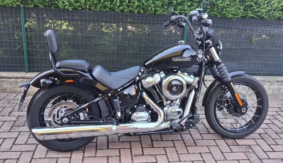 Harley-Davidson Street Bob 117 (2025 - 26) (6)