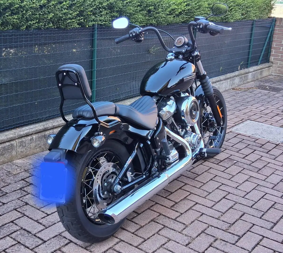 Harley-Davidson Street Bob 117 (2025 - 26) (7)