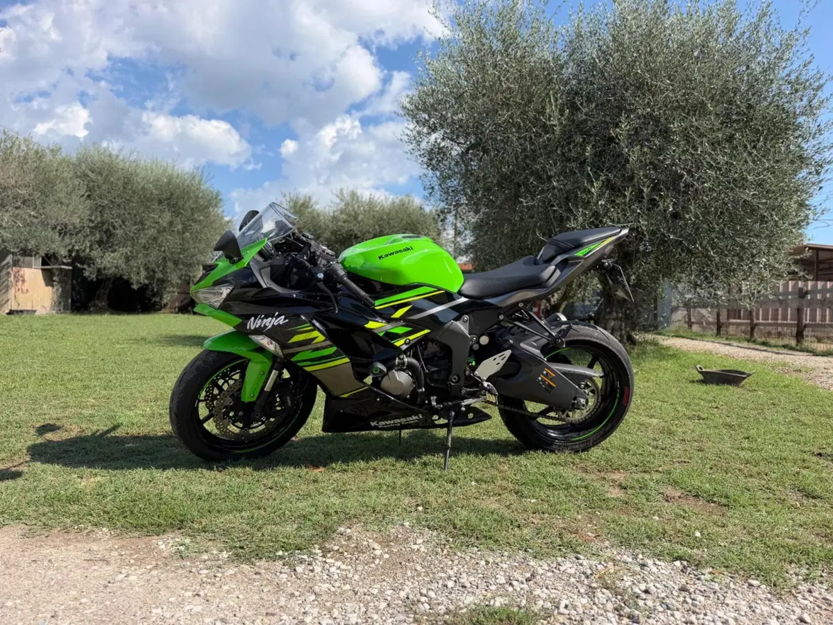 Kawasaki Ninja 636 ZX-6R KRT (2019 - 20) (2)