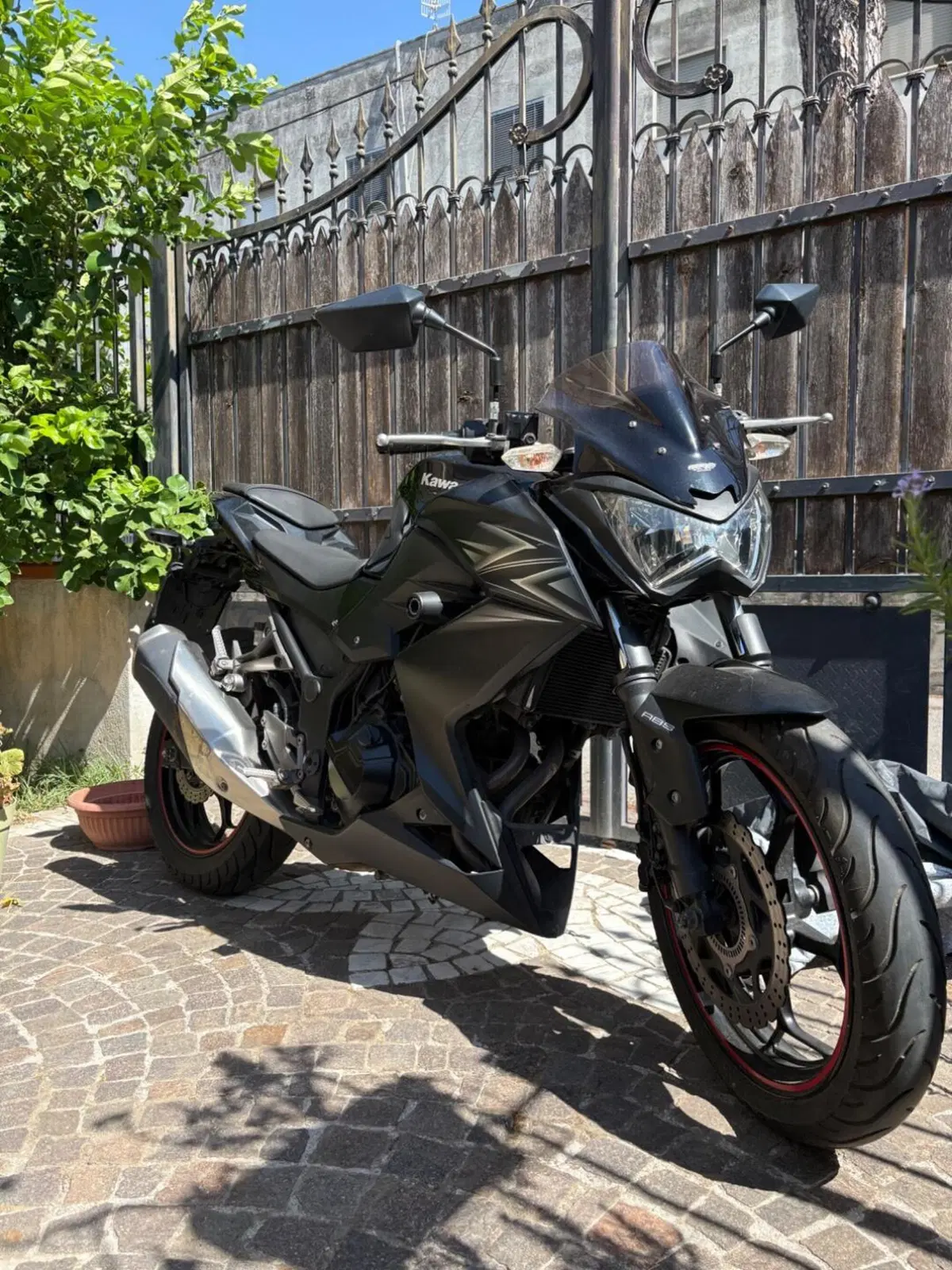 Kawasaki Z 300 ABS (2015 - 16)