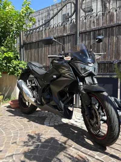 Kawasaki Z 300 ABS (2015 - 16) usata