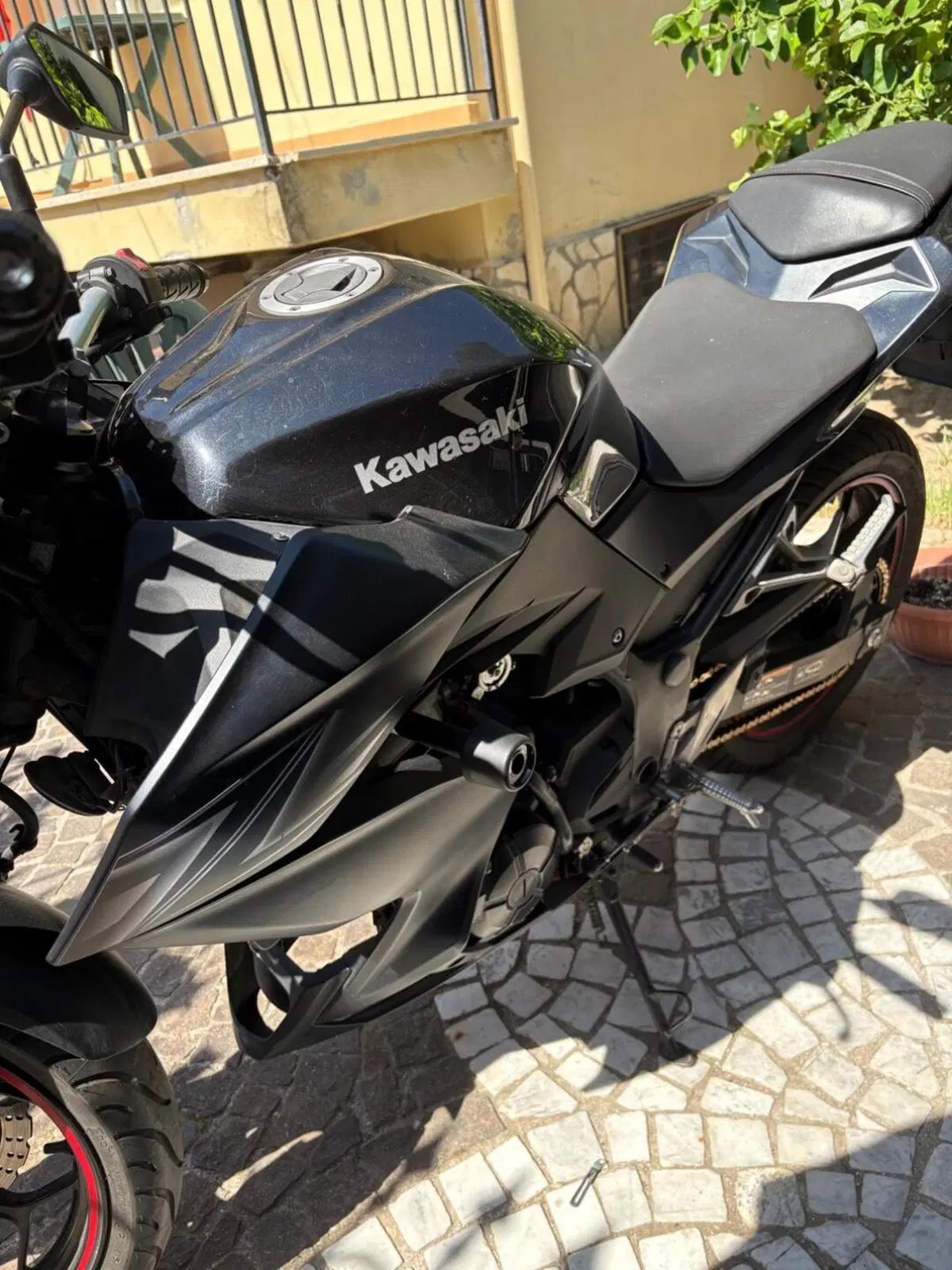 Kawasaki Z 300 ABS (2015 - 16) (2)