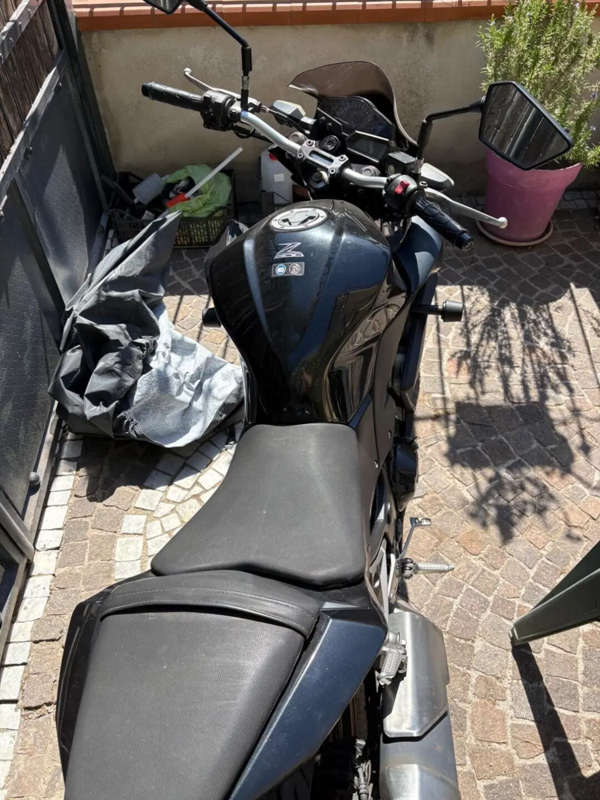 Kawasaki Z 300 ABS (2015 - 16) (5)