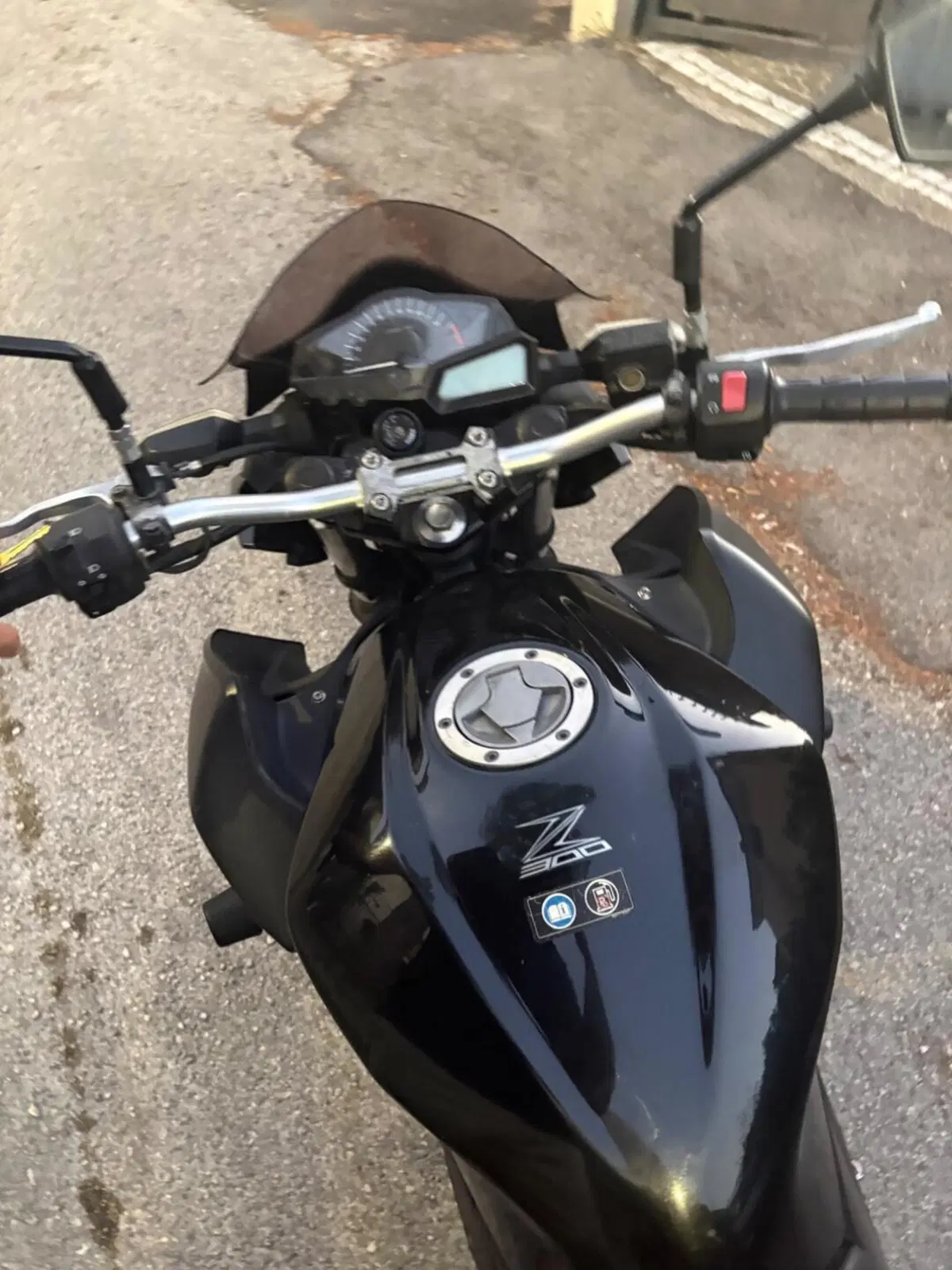 Kawasaki Z 300 ABS (2015 - 16) (6)
