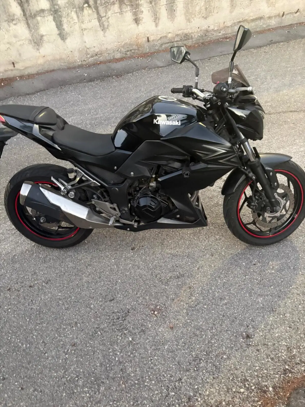 Kawasaki Z 300 ABS (2015 - 16) (7)