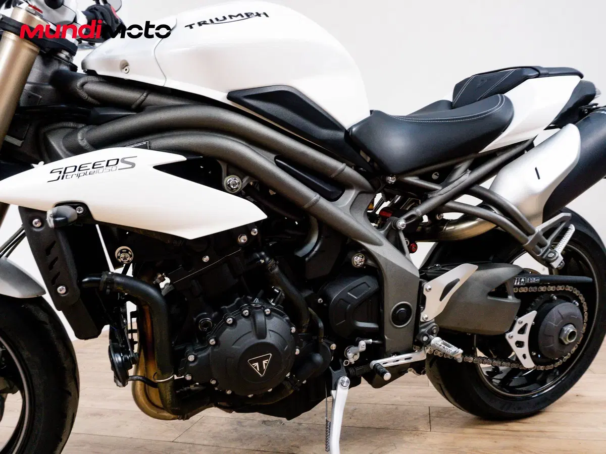 Triumph Speed Triple 1050 S ABS (2016 - 17) (9)