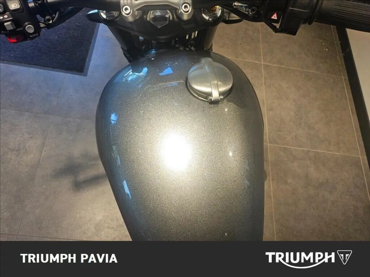 Triumph Speed Twin 1200 (2019 - 20) (21)