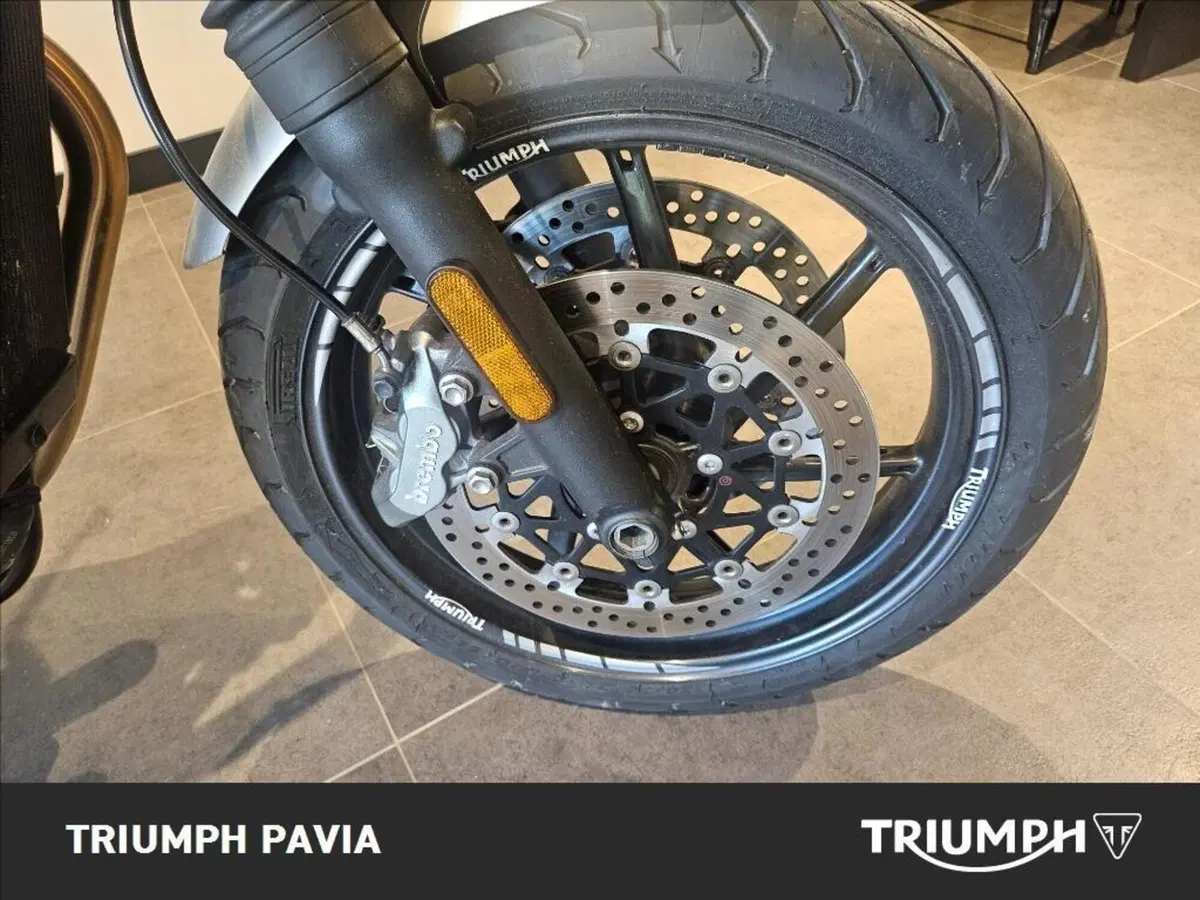 Triumph Speed Twin 1200 (2019 - 20) (7)