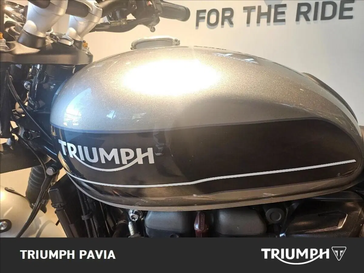 Triumph Speed Twin 1200 (2019 - 20) (17)