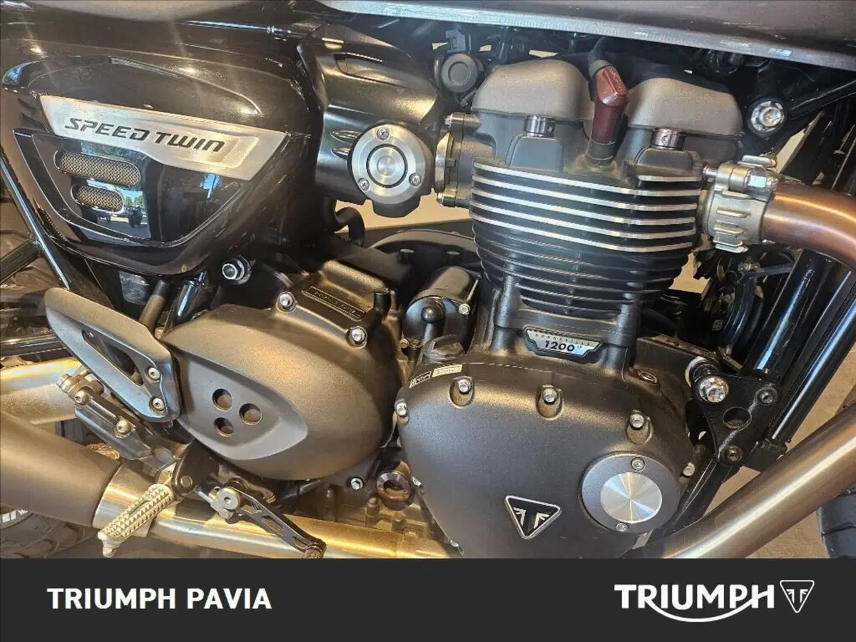 Triumph Speed Twin 1200 (2019 - 20) (9)