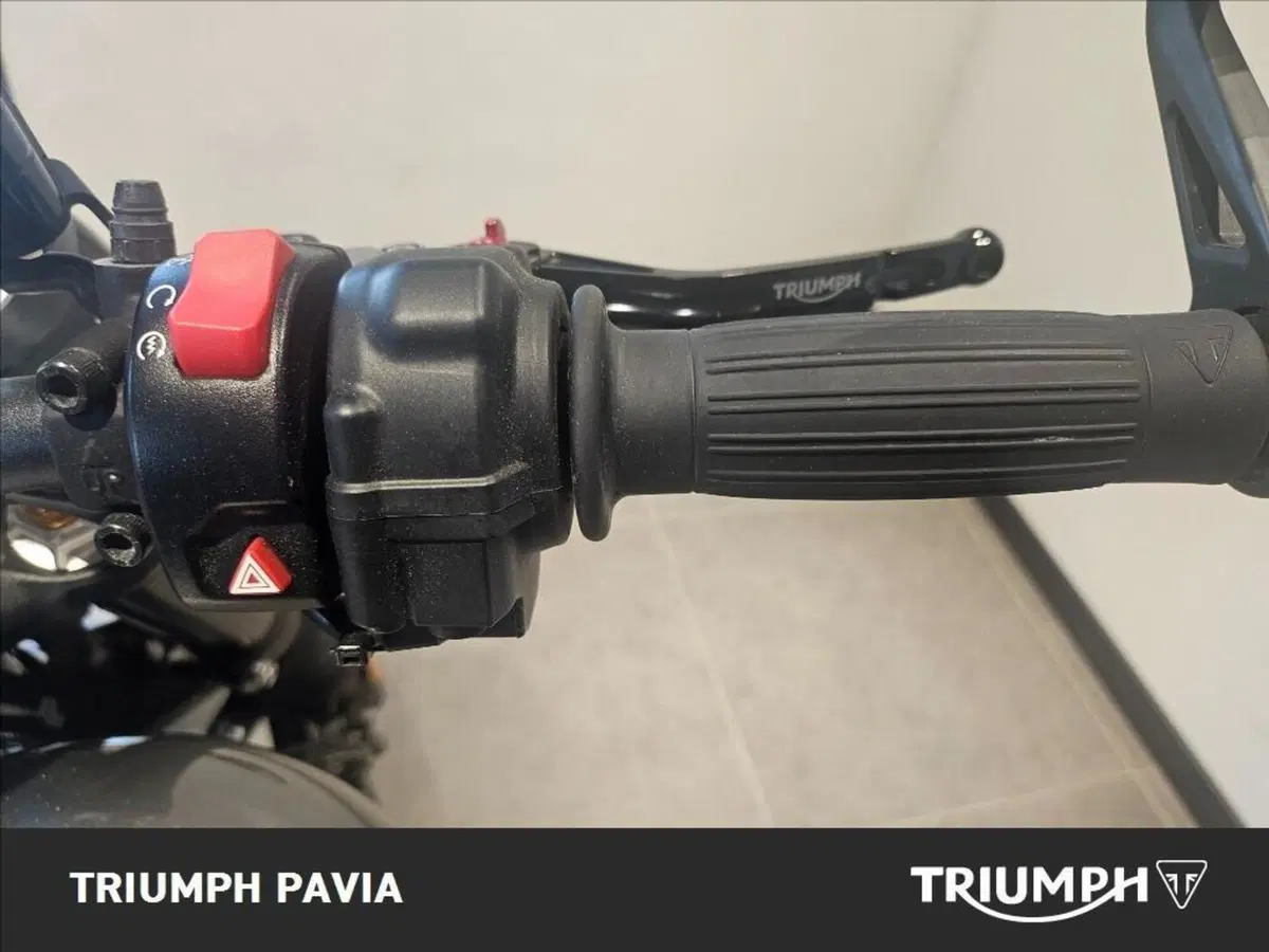 Triumph Speed Twin 1200 (2019 - 20) (24)