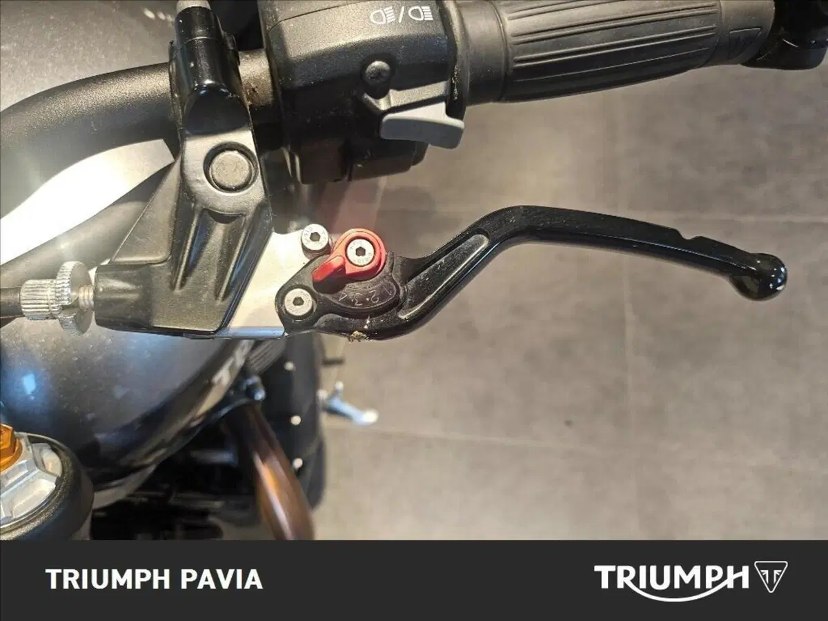 Triumph Speed Twin 1200 (2019 - 20) (25)