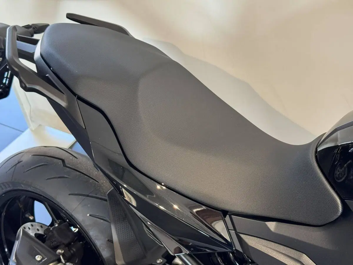 Bmw F 900 R (2025 - 27) (9)