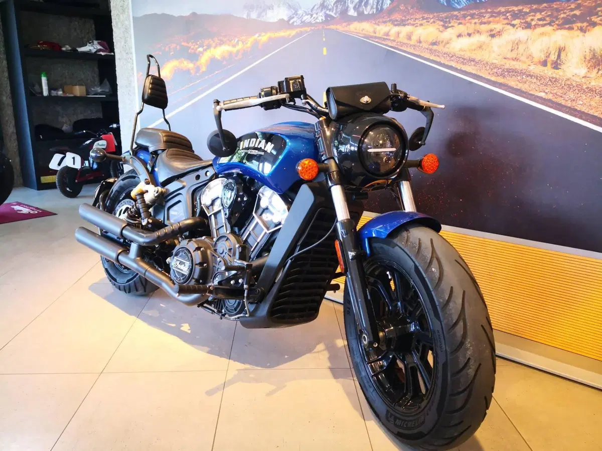 Indian Scout 1133 Bobber Icon (2020 - 21) (3)