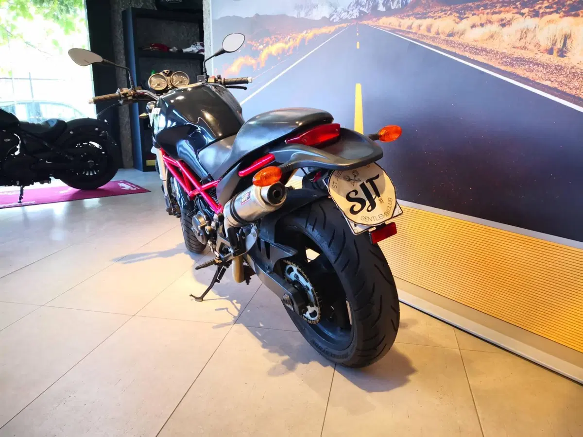 Ducati Monster 695 (2006 - 08) (7)