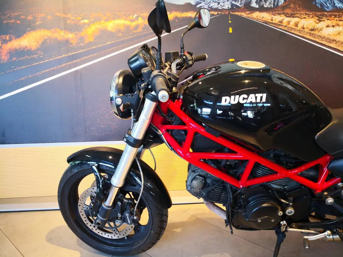 Ducati Monster 695 (2006 - 08) (9)