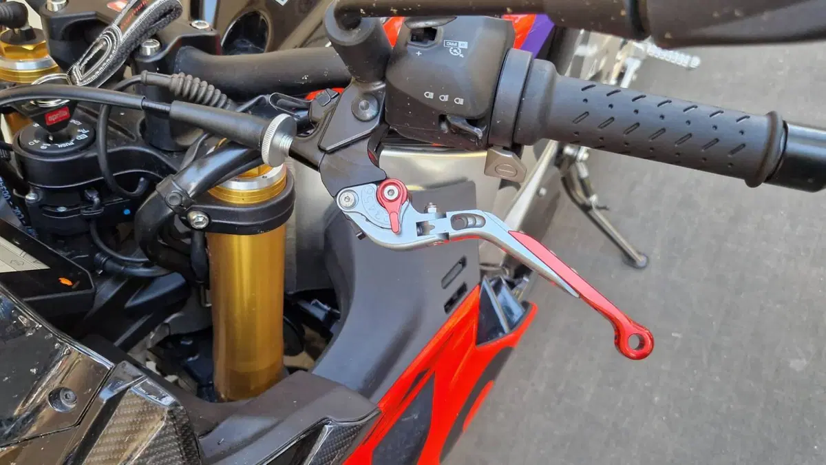 Aprilia Tuono V4 Factory (2021 - 24) (7)