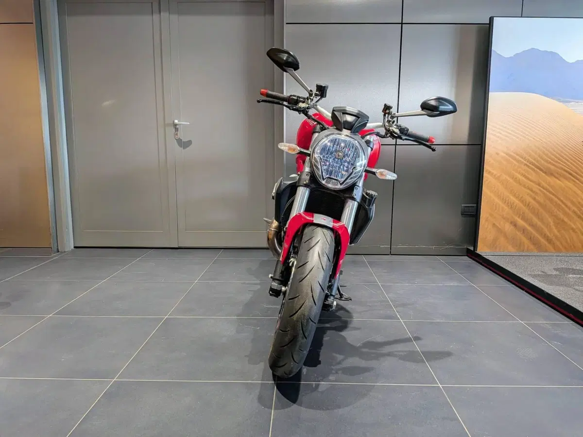Ducati Monster 1200 (2014 - 16) (2)