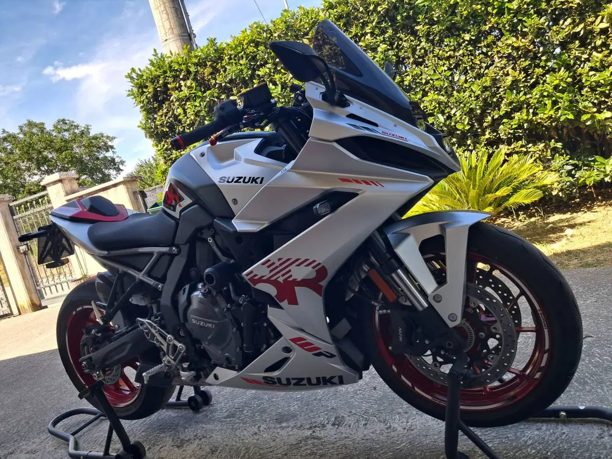 Suzuki GSX-8R (2024 - 26) (2)